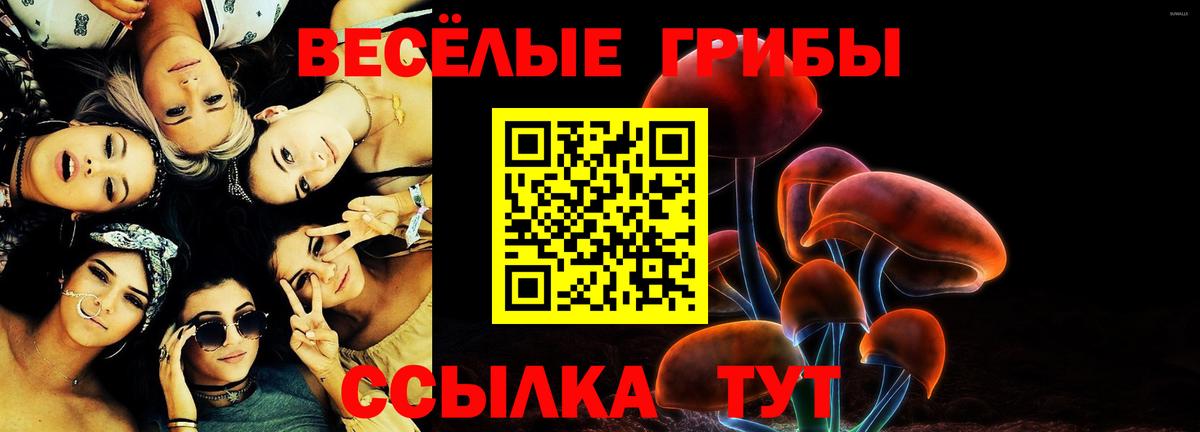 цена   Псилоцибиновые грибы мицелий  Вход с VPN  Новодвинск 